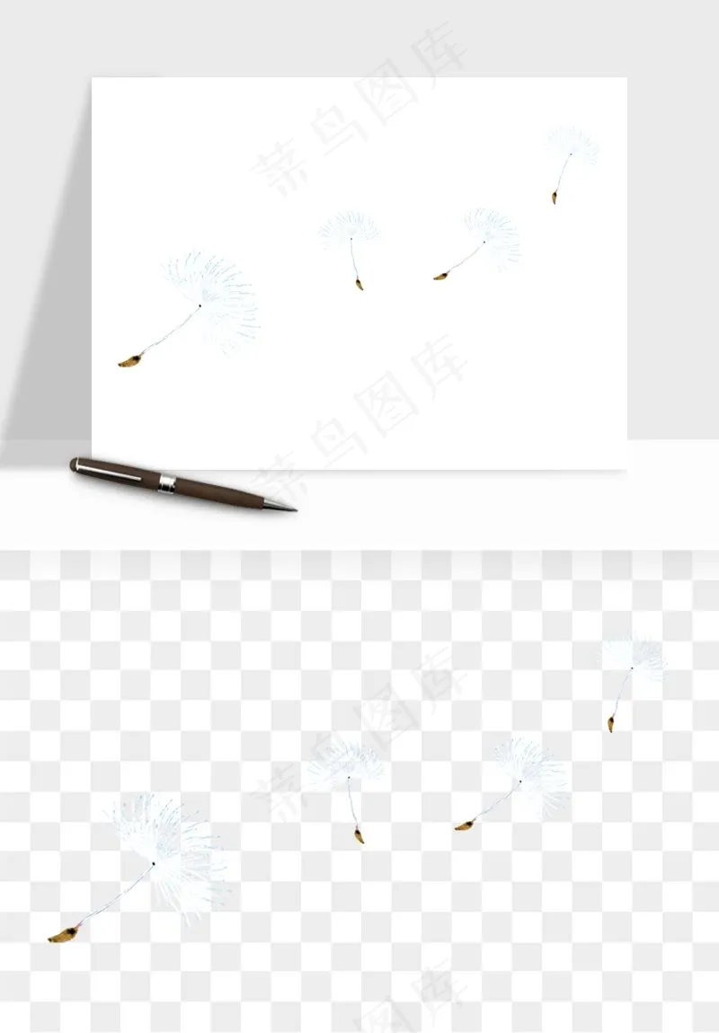 唯美蒲公英种子png免抠