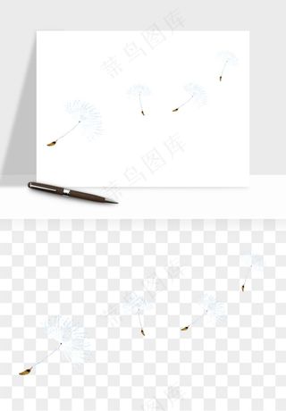 唯美蒲公英种子png免抠