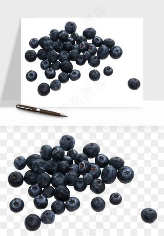 蓝莓水果png免抠