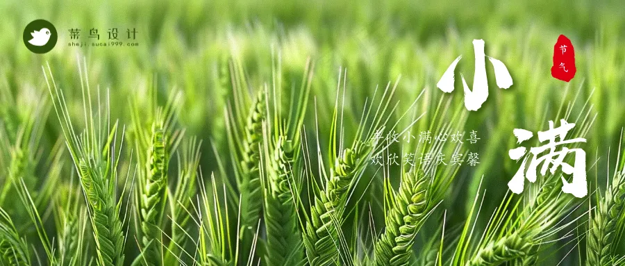 小满公众号首图