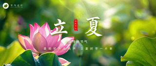 立夏公众号首图