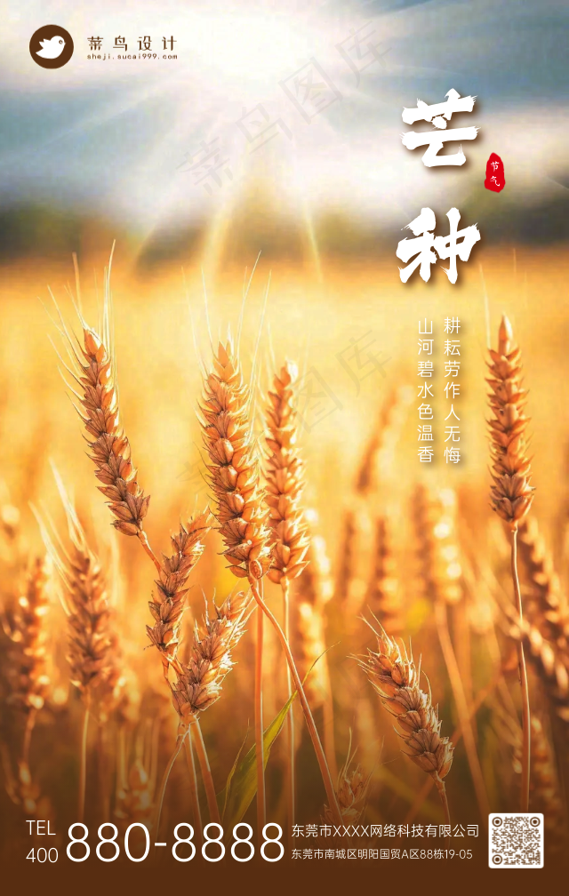 芒种手机海报