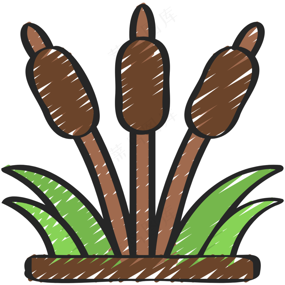 芦苇草 香蒲 菖蒲 铅笔手绘图标icon