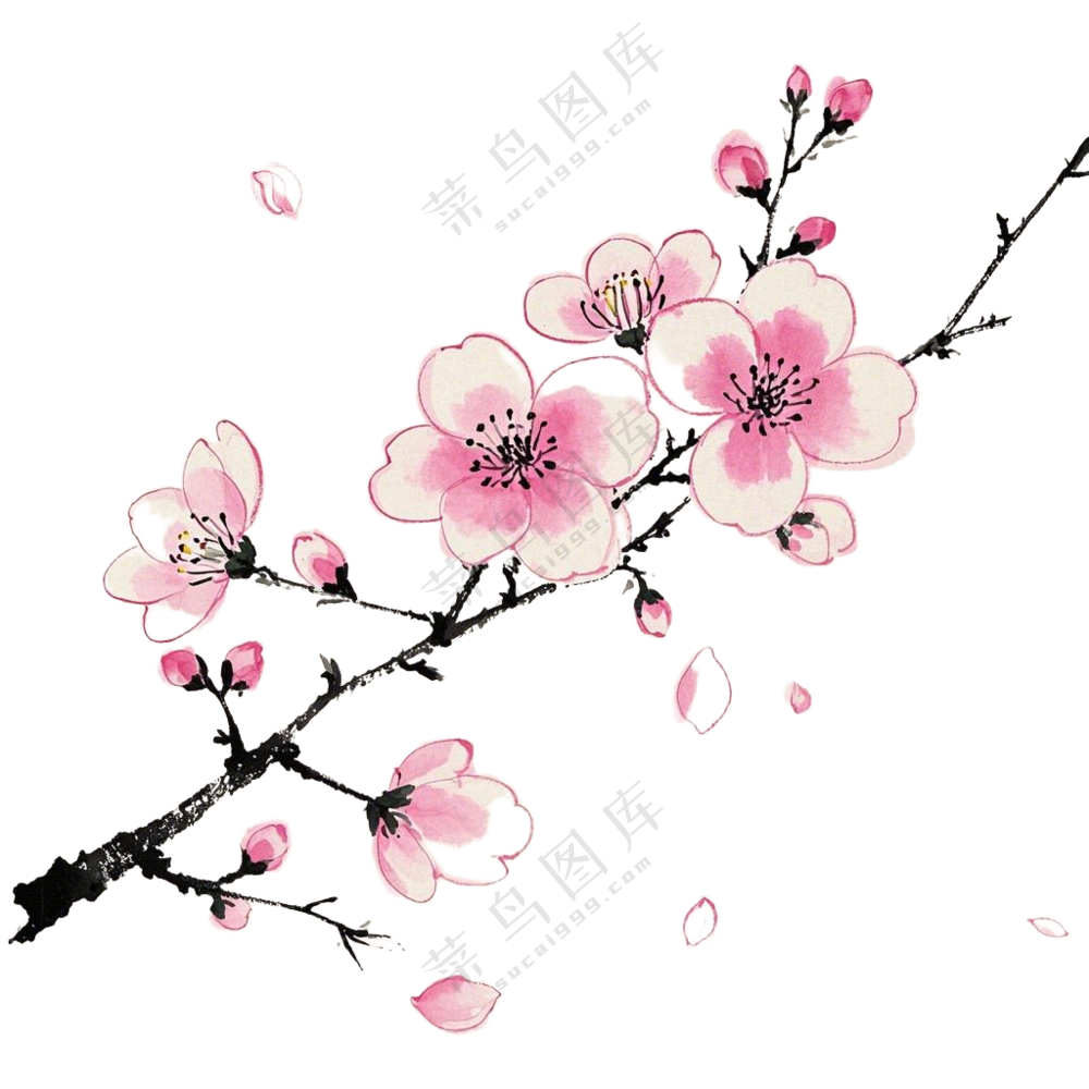 桃花枝条红色春分免扣图
