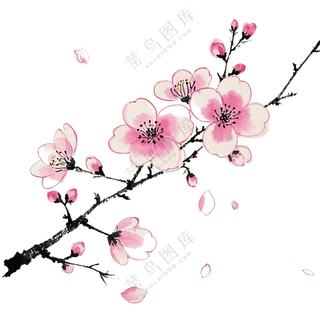 桃花枝条红色春分免扣图