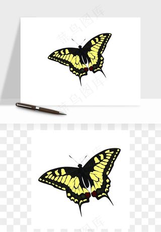 蝴蝶昆虫矢量png免抠