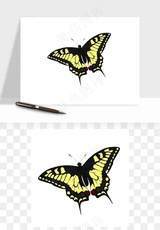 蝴蝶昆虫矢量png免抠