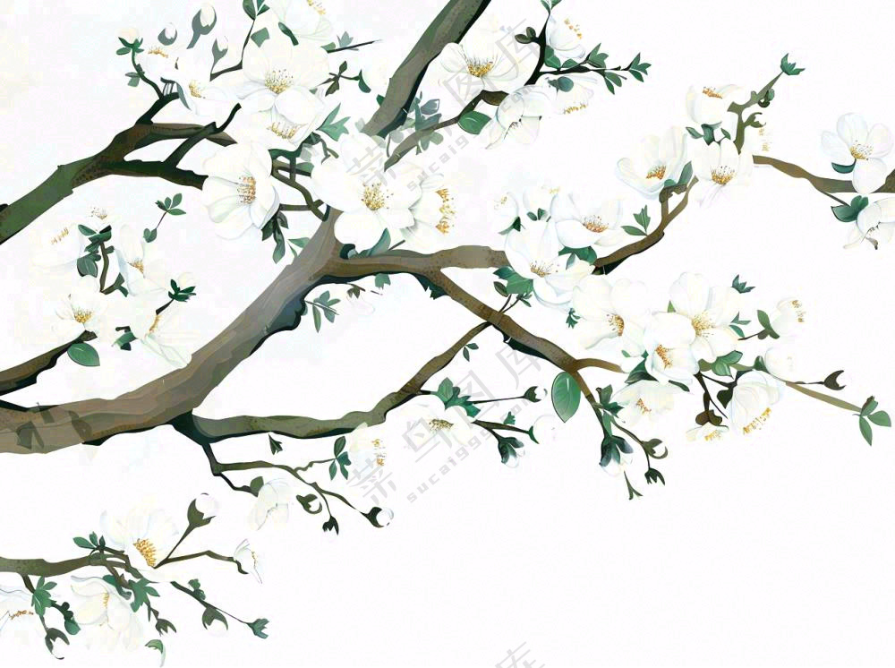 树上的白花春天植物绿叶插画免抠