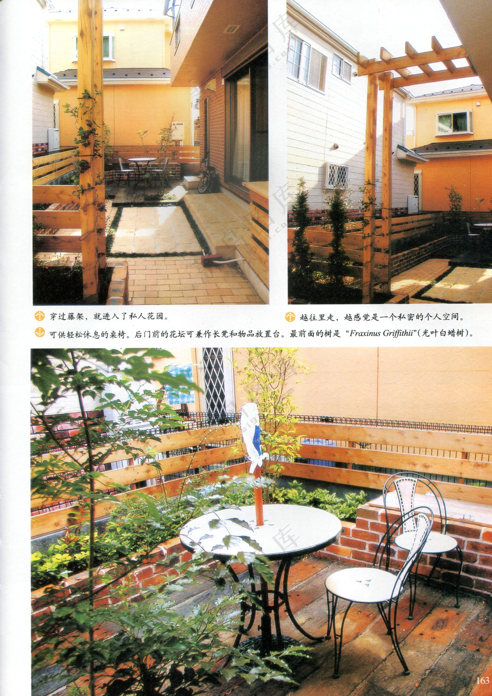 花和绿满溢的庭园