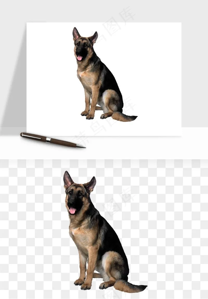 猫咪喵星人狗狗宠物元素png免抠