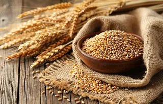 世界粮食日谷物米饭稻谷小麦摄影图