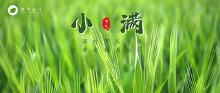 小满公众号首图