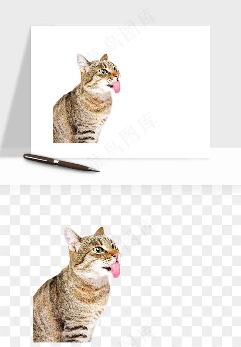 猫咪喵星人狗狗宠物元素png免抠