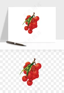 荔枝妃子笑水果png免抠