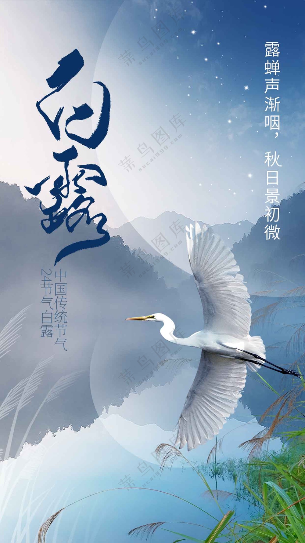 白露节气传统活动宣传海报