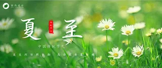 夏至公众号首图
