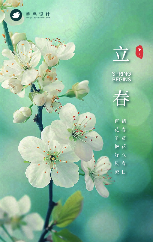 立春手机海报