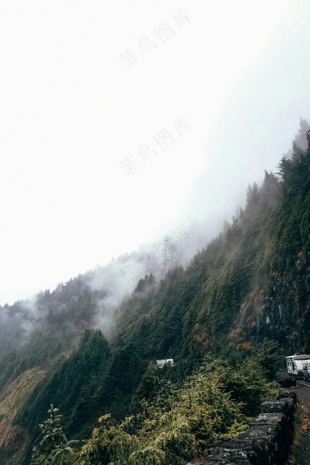 雾锁密林图·幽暗格调·绿灰交织·壁纸艺赏