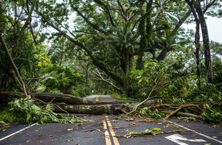 台风预警天气自然灾害