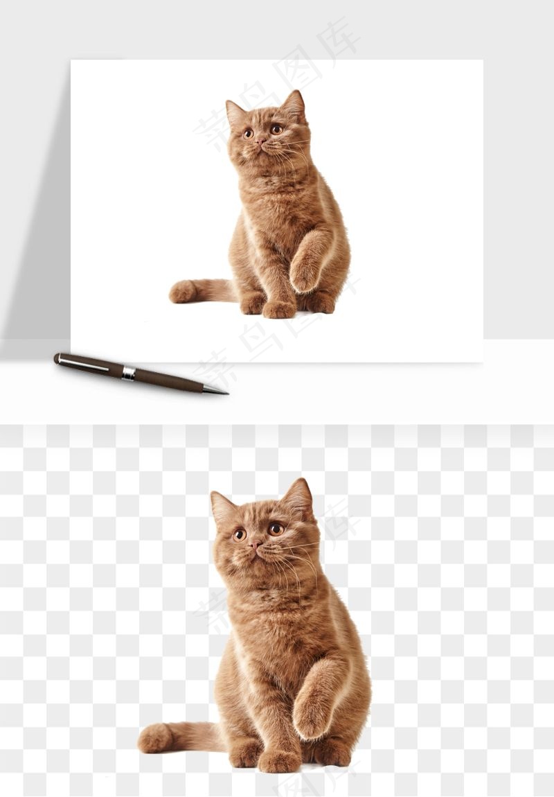 猫咪喵星人狗狗宠物元素png免抠