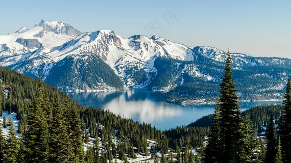 雄伟的山脉与翠绿森林