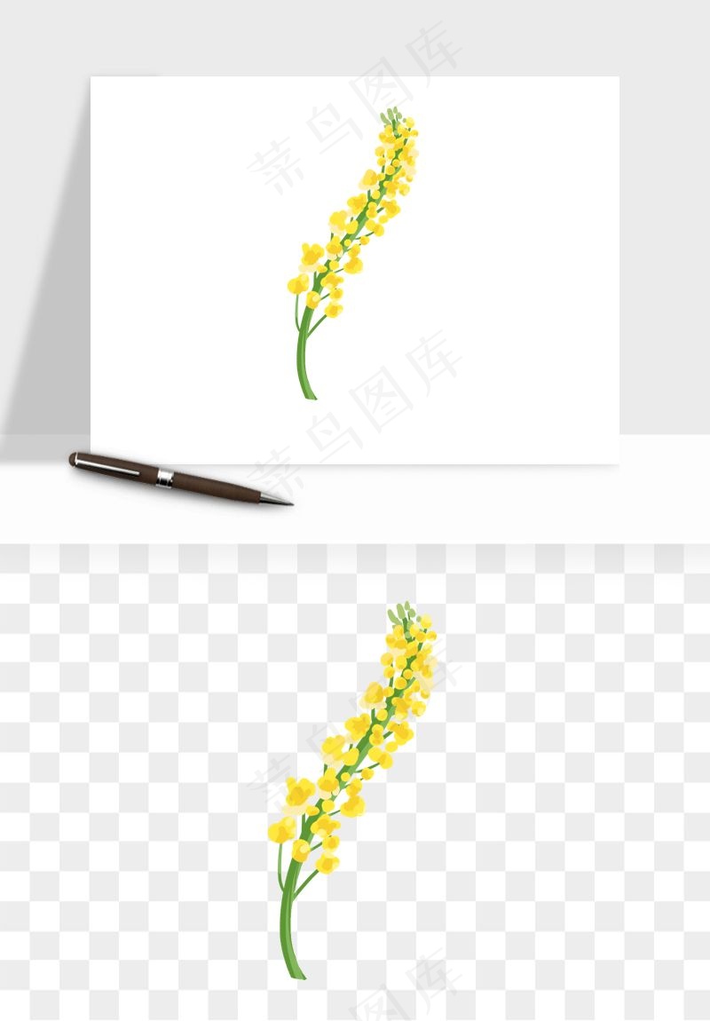 油菜花田png免抠