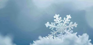 冰冻预警暴雪预警通知公告背景