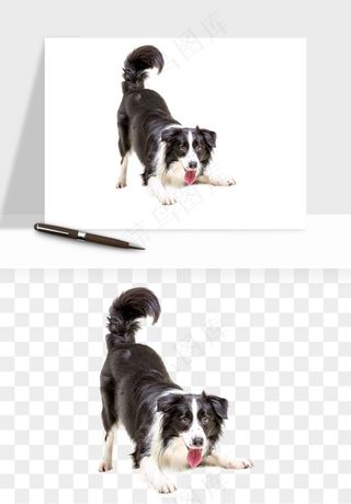 猫咪喵星人狗狗宠物元素png免抠