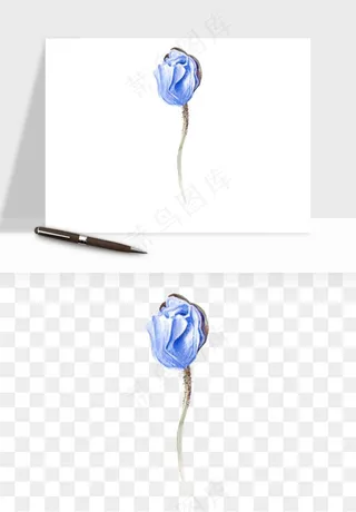 水彩复古植物花卉png免抠