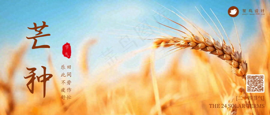 芒种公众号首图