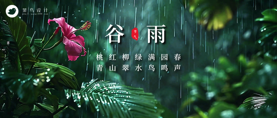 谷雨公众号首图