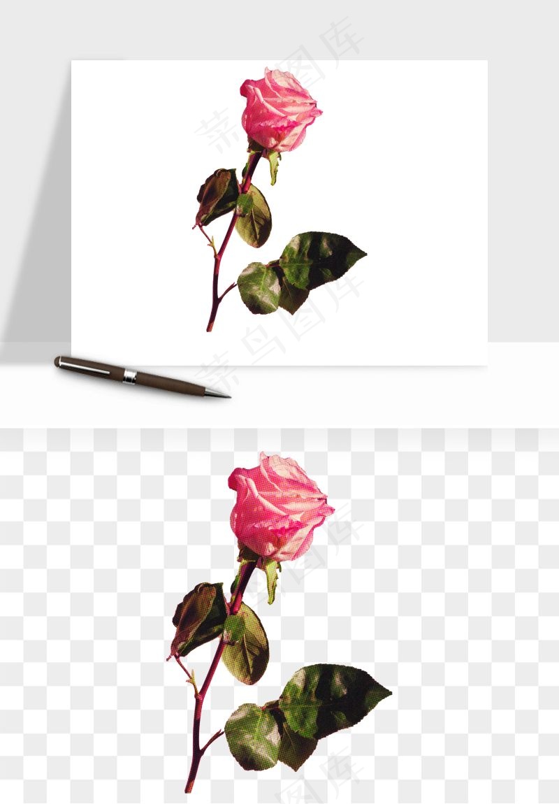 复古鲜花玫瑰png免抠