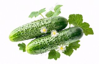 青瓜黄瓜蔬菜免抠