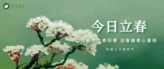 立春公众号首图