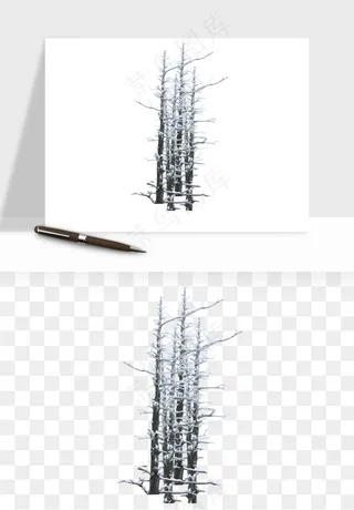 雪树枯树冬天树木png免抠