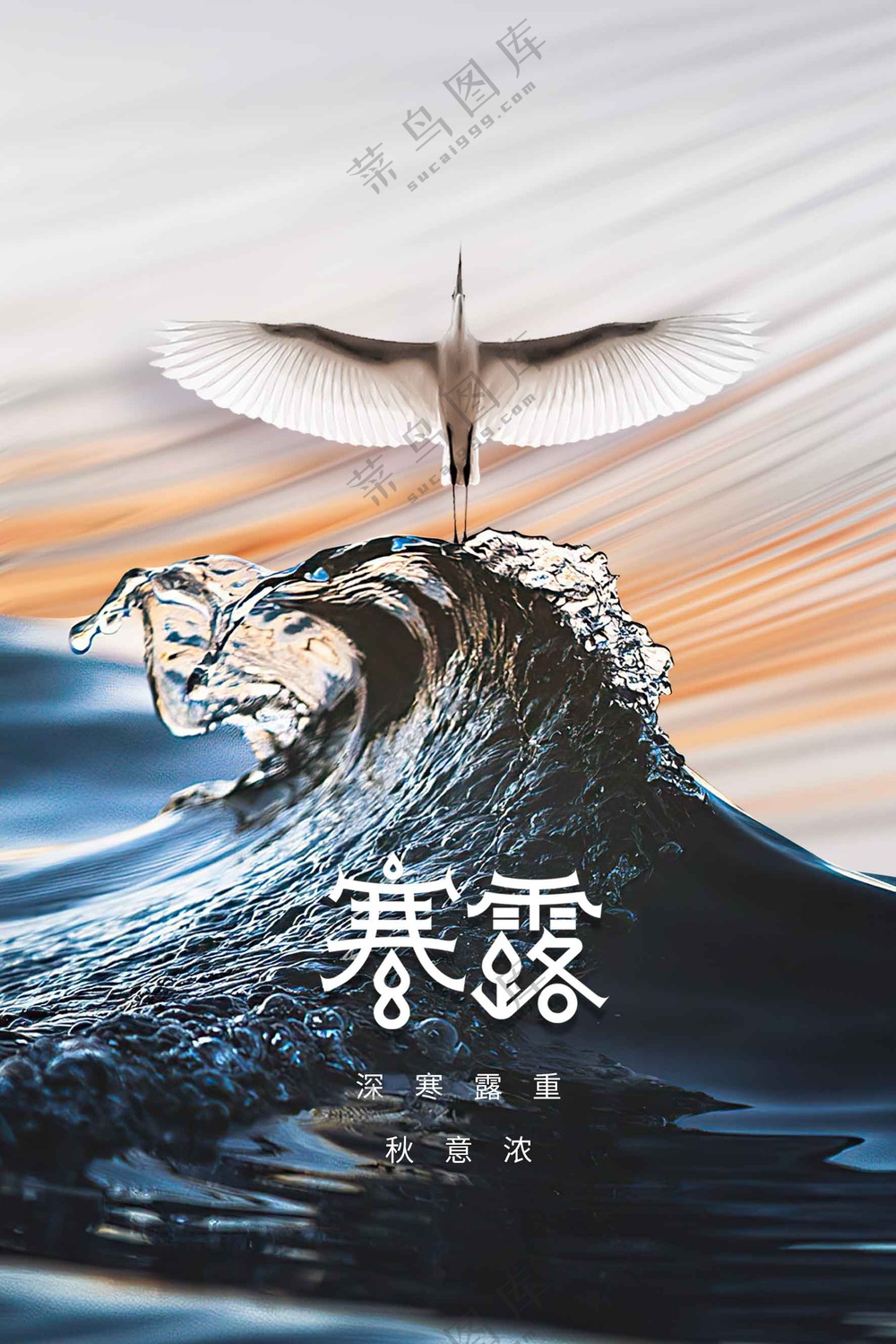 寒露节气传统活动海报