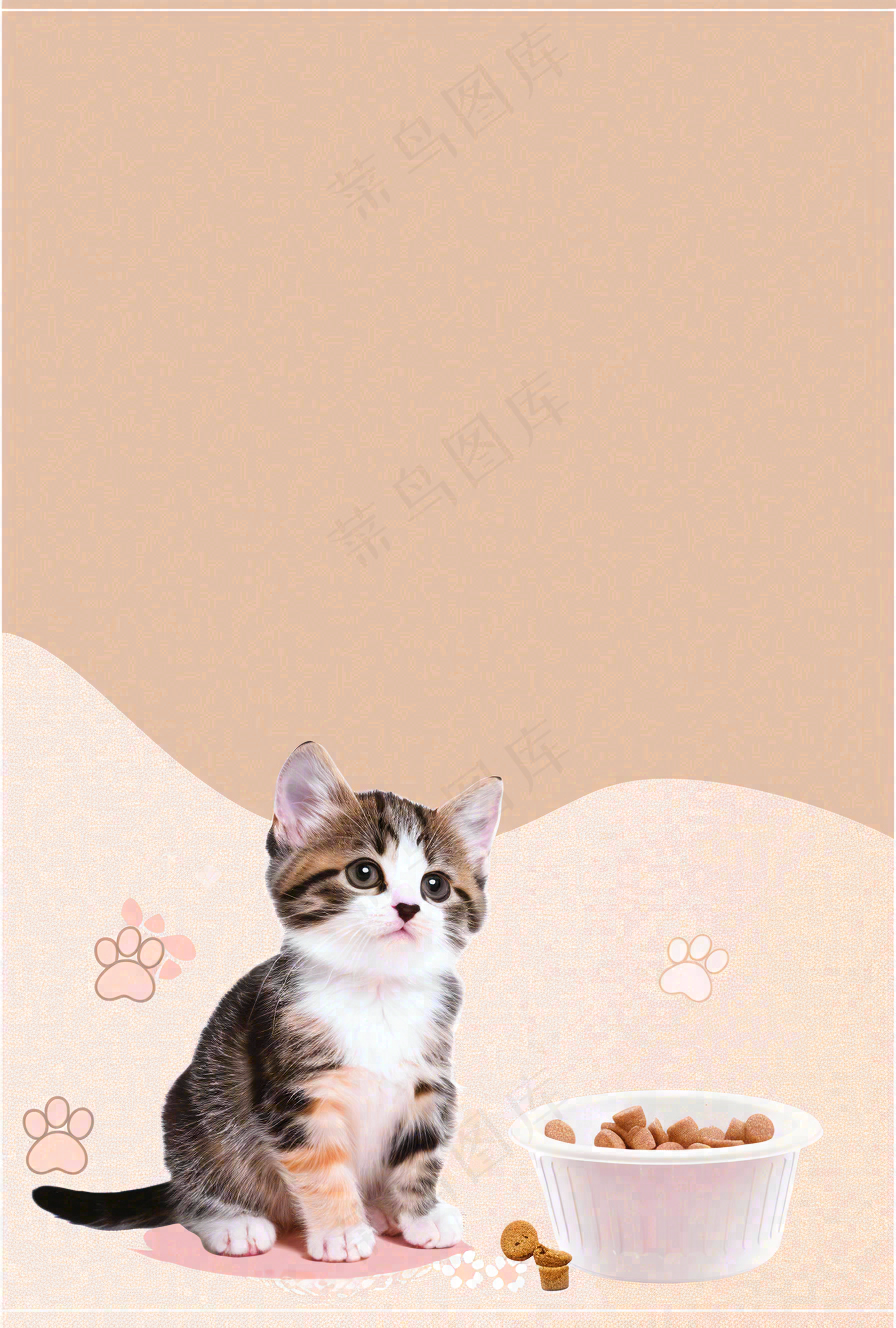 宠物常识宠物攻略猫狗卡通插画背景