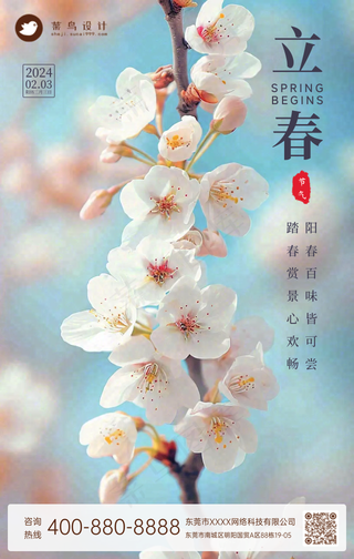 立春手机海报