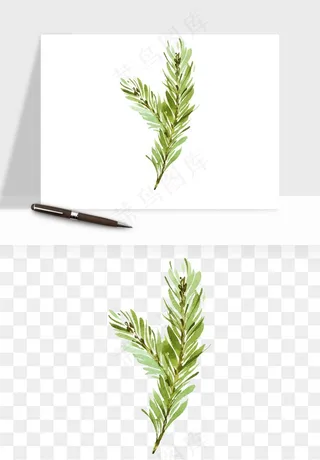 清新手绘植物png免抠