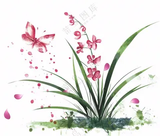 兰花粉色吊兰蝴蝶水墨画插画免抠