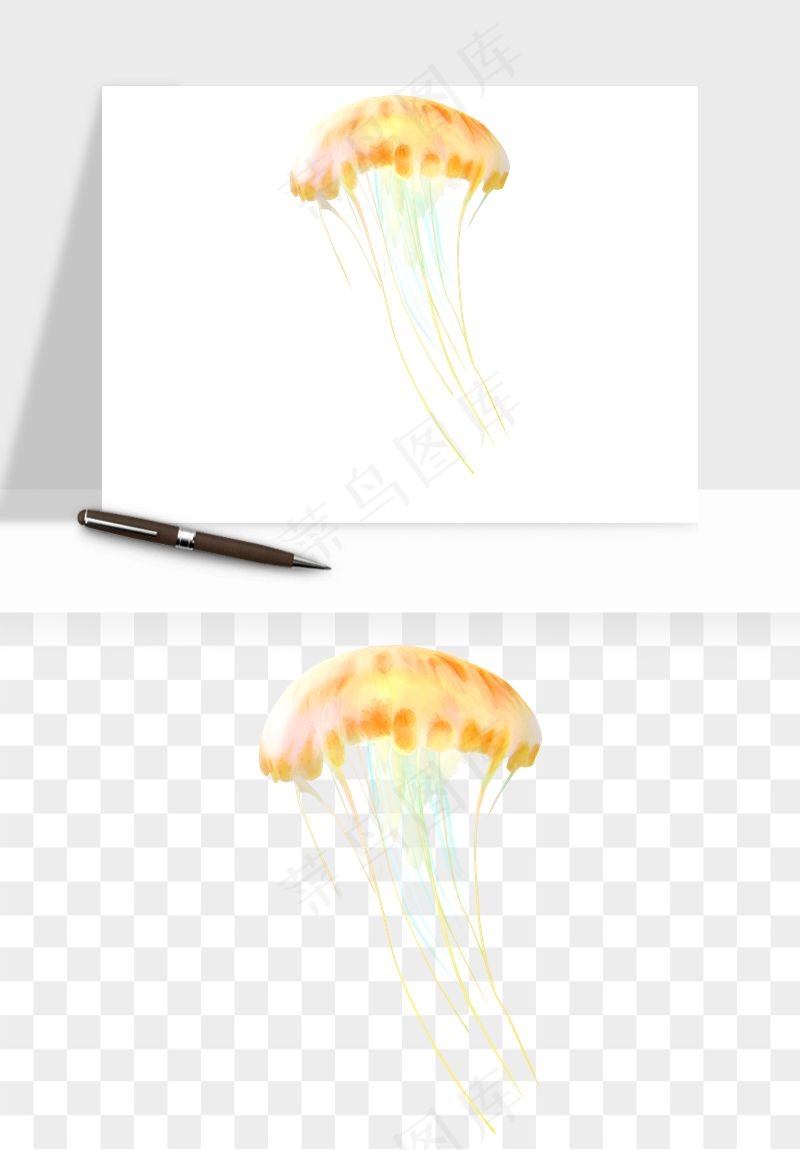 水母章鱼海底生物png免抠图