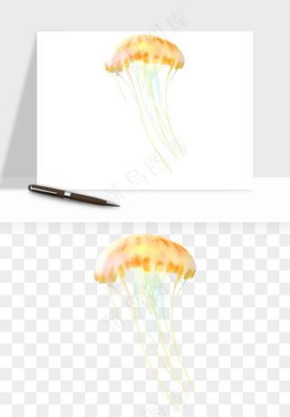 水母章鱼海底生物png免抠图