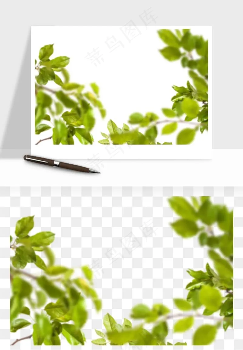 绿叶虚化前景树枝png免抠