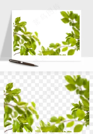 绿叶虚化前景树枝png免抠