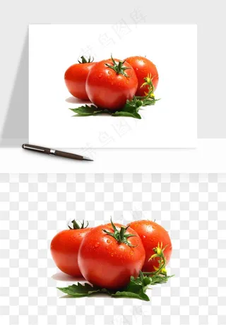 西红柿番茄圣女果png免抠