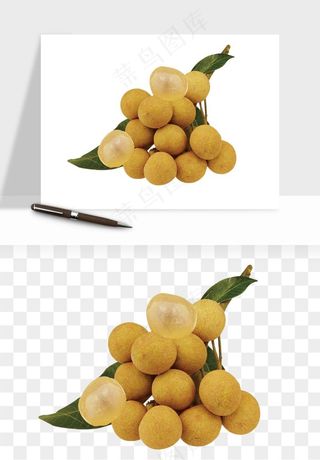 龙眼桂圆水果png免抠