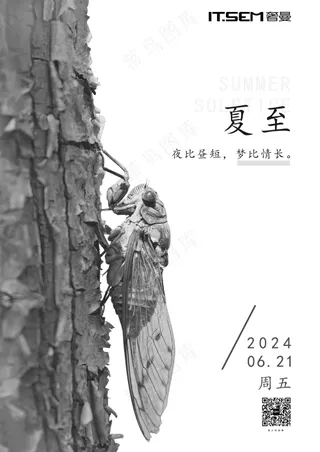 夏至蝉鸣海报