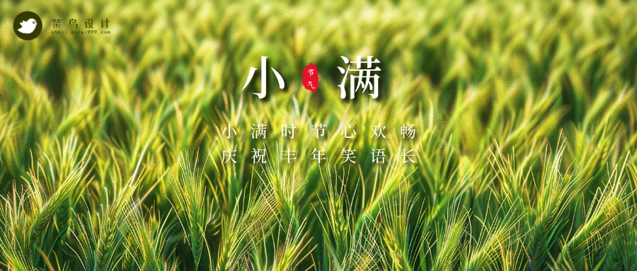 小满公众号首图