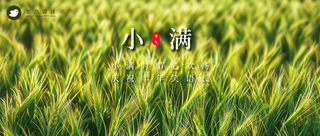 小满公众号首图