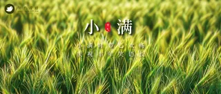 小满公众号首图